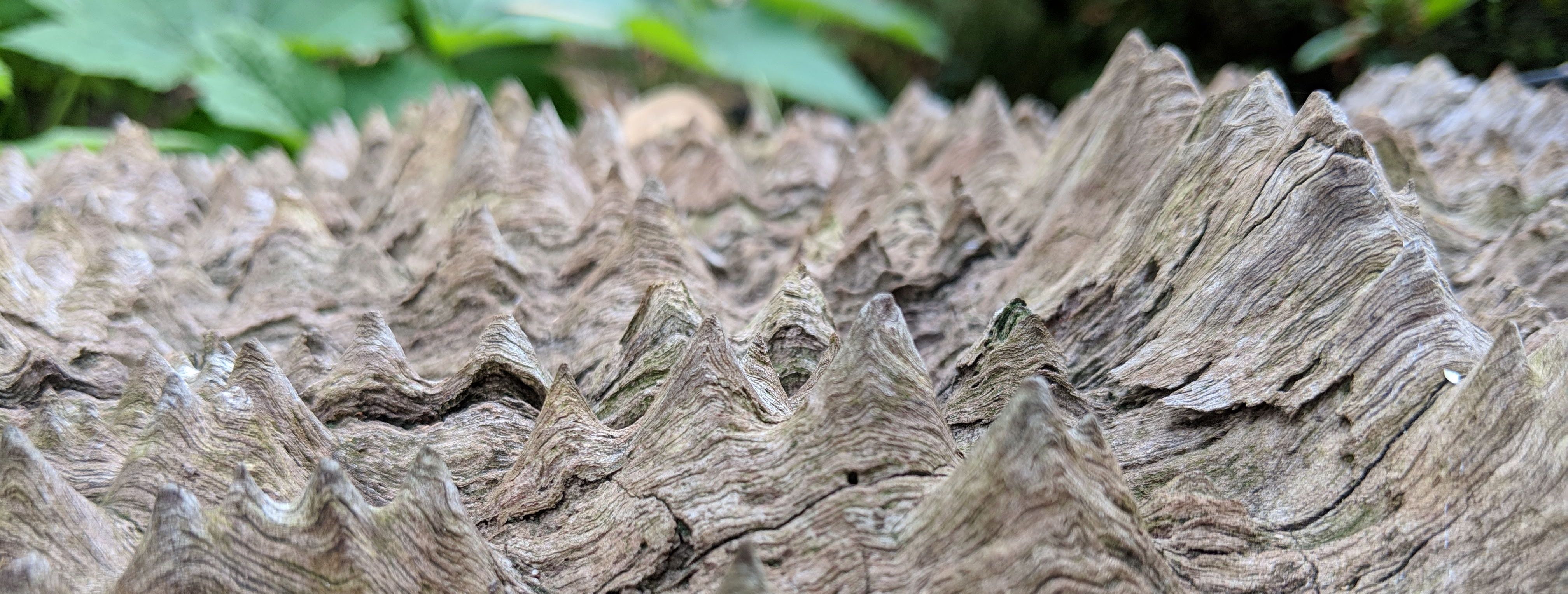 feature image - a close up of textures in timber